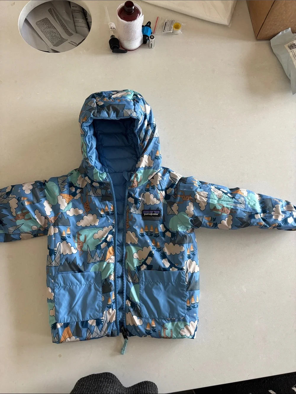 Patagonia Light Blue Kids Puffer Jacket with Hood